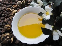 茶籽油榨油精炼生产线